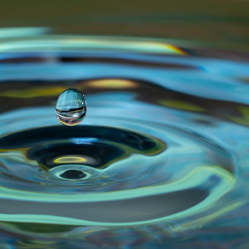 Customer Experience, Events & Retention