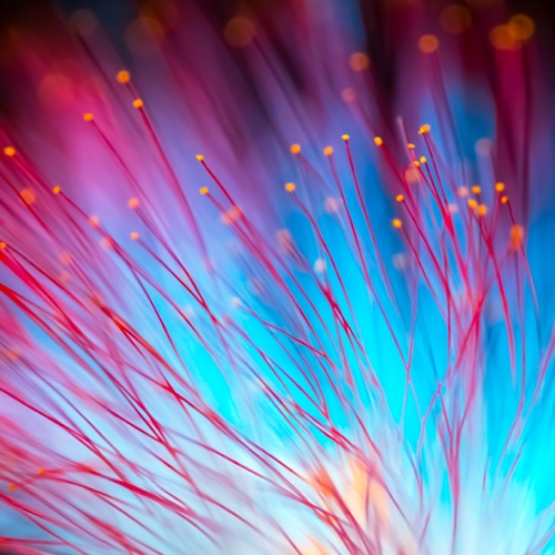 Paid Media & Performance Marketing