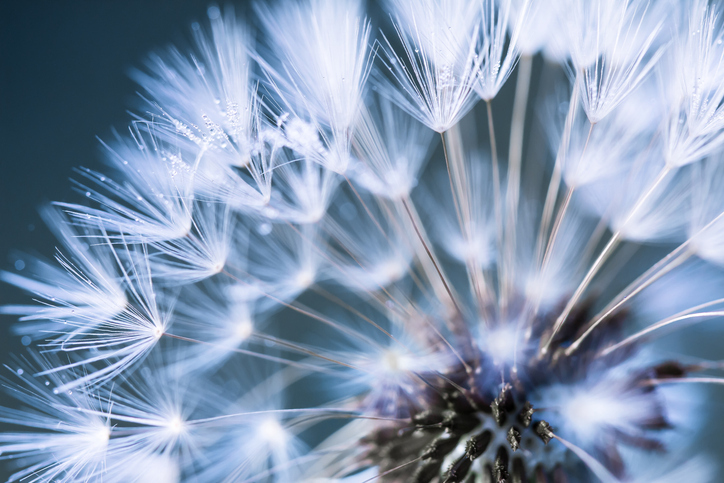 iStock-501535348