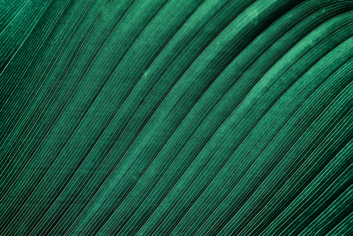 iStock-901433364